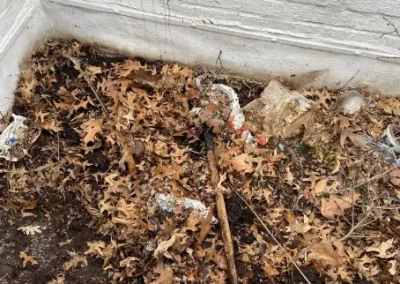 Dependable Storm Debris Disposal