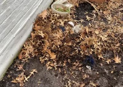 Storm Debris Disposal (2)
