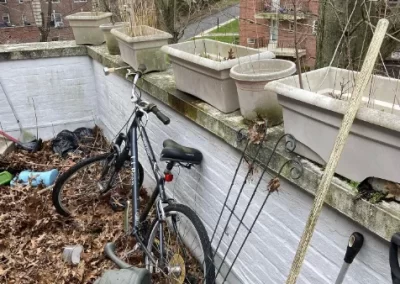 Storm Debris Disposal (4)
